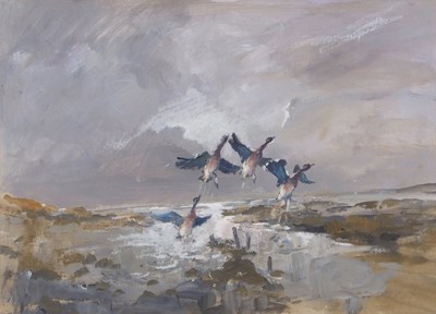 Lot 689 - Jack Cox (1914-2007), Ducks alighting,...