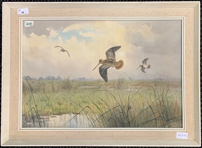 Lot 45 - John Cyril Harrison (1898-1985), Woodcocks...