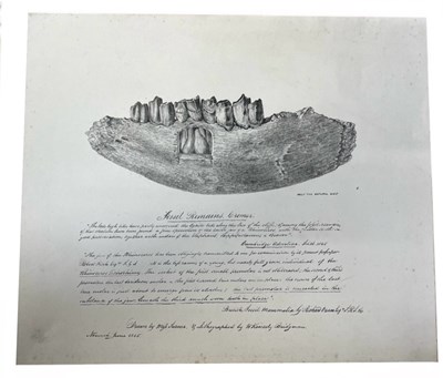 Lot 1108 - An interesting lithograph depicting the...