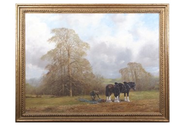 Lot 640 - John Trickett (British, b.1952), Shire Horses...