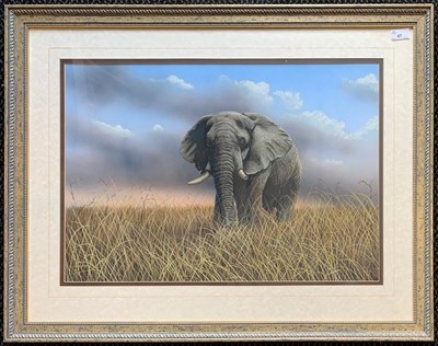 Lot 67 - Peter Jepson (British, b.1936), 'Letaba',...