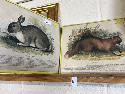 Lot 239 - A group of four prints of animals published...