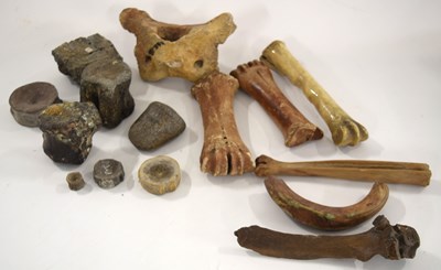 Lot 102 - Natural History and Paleontology interest:...