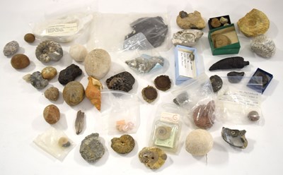 Lot 104 - Natural History and Paleontology interest: Box...