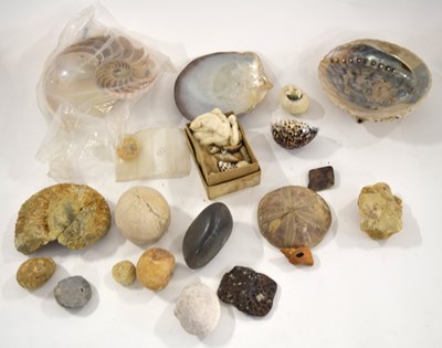 Lot 106 - Natural History and Paleontology interest: Box...