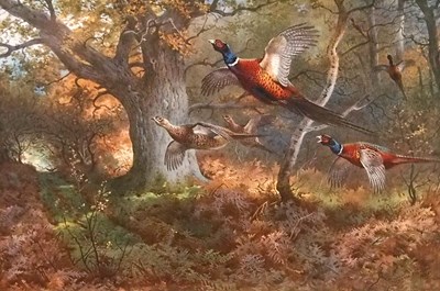 Lot 17 - Archibald Thorburn (1860-1935), Pheasants...