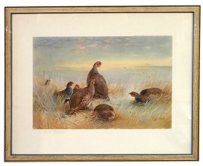 Lot 12 - Archibald Thorburn (British,1860-1935),...