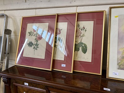 Lot 747 - Three framed botanical prints