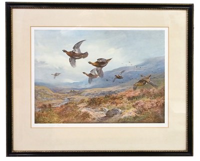 Lot 15 - Archibald Thorburn (British,1860-1935), Red...