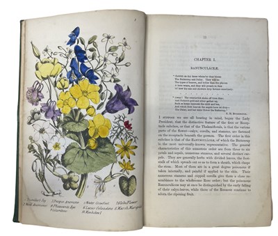 Lot 86 - Plues (M); Rambles in Search of Wildflowers 2nd Edition London 1864