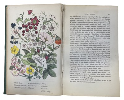 Lot 86 - Plues (M); Rambles in Search of Wildflowers 2nd Edition London 1864