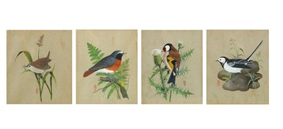 Lot 9 - Bryan Shaw (20th century), Studies of a Wren...