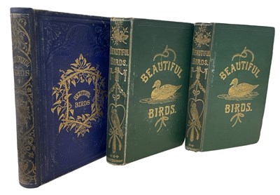 Lot 106 - ROBERT TYAS: BEAUTIFUL BIRDS, in 3 volumes,...