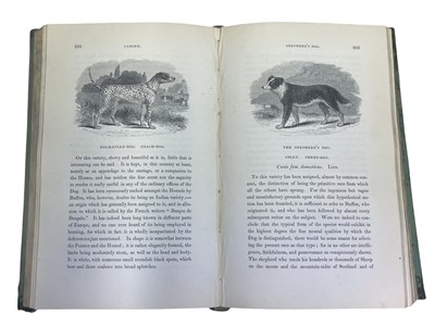 Lot 137 - THOMAS BELL: A History of British Quadrupeds,...