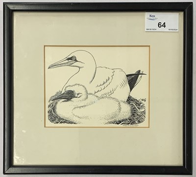 Lot 64 - Robert Gillmor (1936-2022), Gannet with chick,...