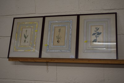 Lot 31 - Group of three 19th Century coloured botanical...