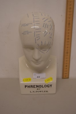 Lot 43 - A reproduction Fowler Phrenology porcelain head