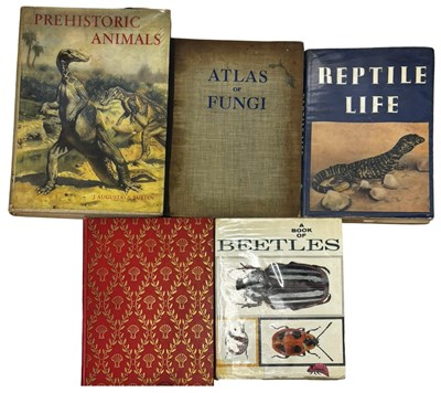 Lot 88 - LARGE FORMAT NATURAL HISTORY AND ANIMAL LIFE:...