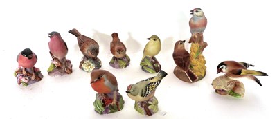 Lot 116 - Quantity of nine Royal Worcester bird studies...