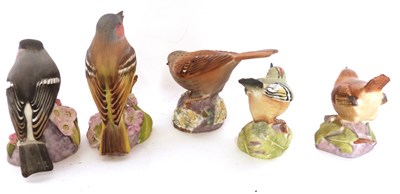 Lot 116 - Quantity of nine Royal Worcester bird studies...