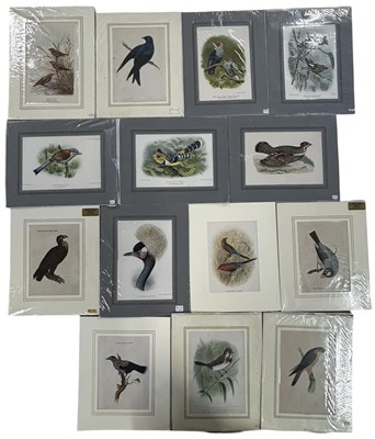 Lot 1295 - A selection of mounted ornithological prints