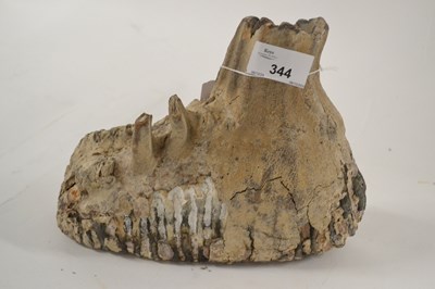 Lot 344 - A woolly mammoth tooth, approx. 23cm long x...