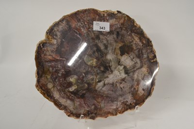 Lot 343 - A fossilised wood slice, approx. 28cm diameter...