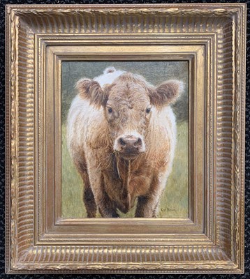 Lot 124 - Ken Bizon (British, b.1927), Cow study, oil on...