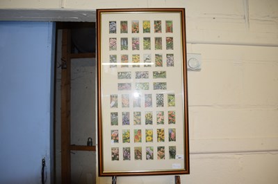 Lot 691 - Framed cigarette cards