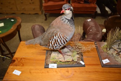 Lot 378 - A taxidermy French partridge on plinth base