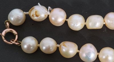 Lot 233 - Single row baroque pearl necklace, a row of 32...