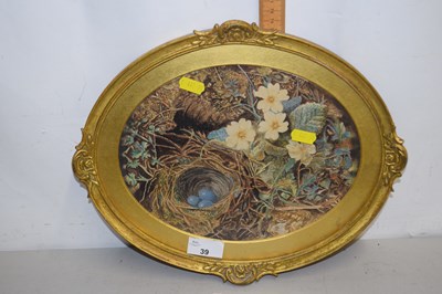 Lot 39 - After Oliver Clare a study of birds nest and...