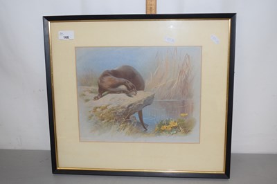 Lot 166 - A coloured print of an otter