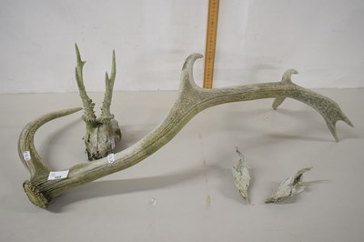 Lot 169 - An antler and smaller items