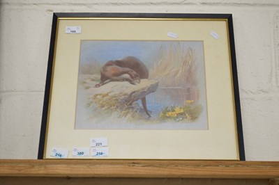 Lot 221 - Coloured print of an otter