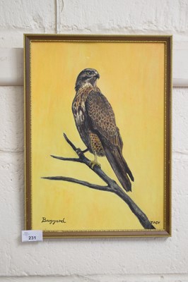 Lot 231 - Buzzard signed Jacy, oil on board, framed