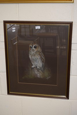 Lot 247 - Study of an owl, R Fletcher, pastel on paper,...