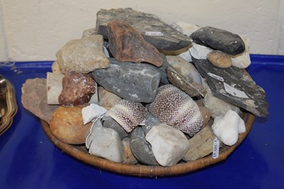 Lot 8 - A basket of various mineral samples, seashells...