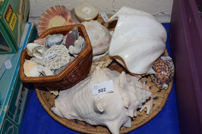 Lot 502 - A quantity of assorted shells and coral