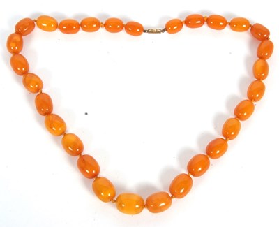 Lot 253 - A butterscotch amber bead necklace, the oval...