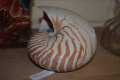 Lot 83A - A vintage Nautilus shell