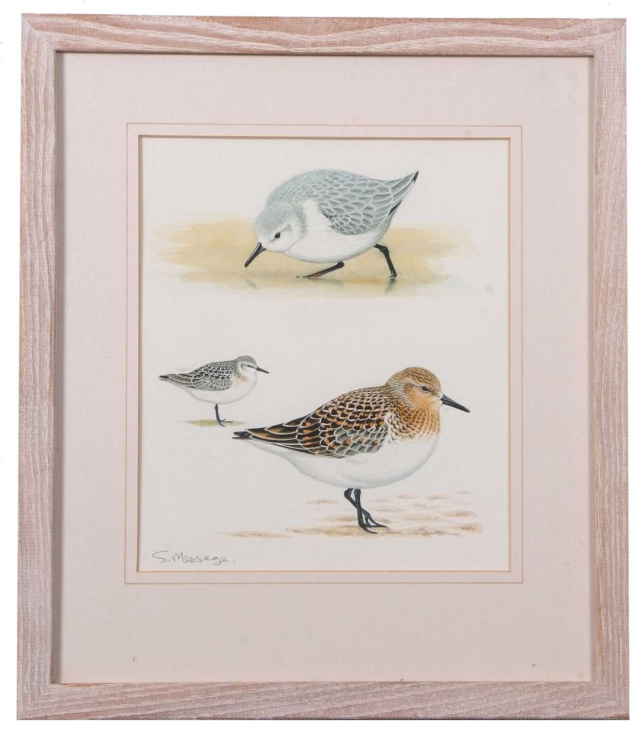 Lot 155 - Stephen Message (British, b.1968), "Sanderling"...