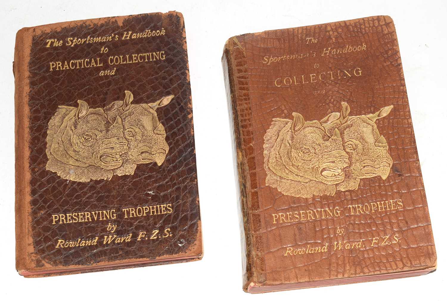 Lot 79 - Taxidermy Ephemera interest - Two "The...