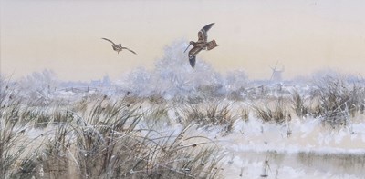 Lot 454 - Colin Burns (b.1944),"Snipe on Runham Marshes",...