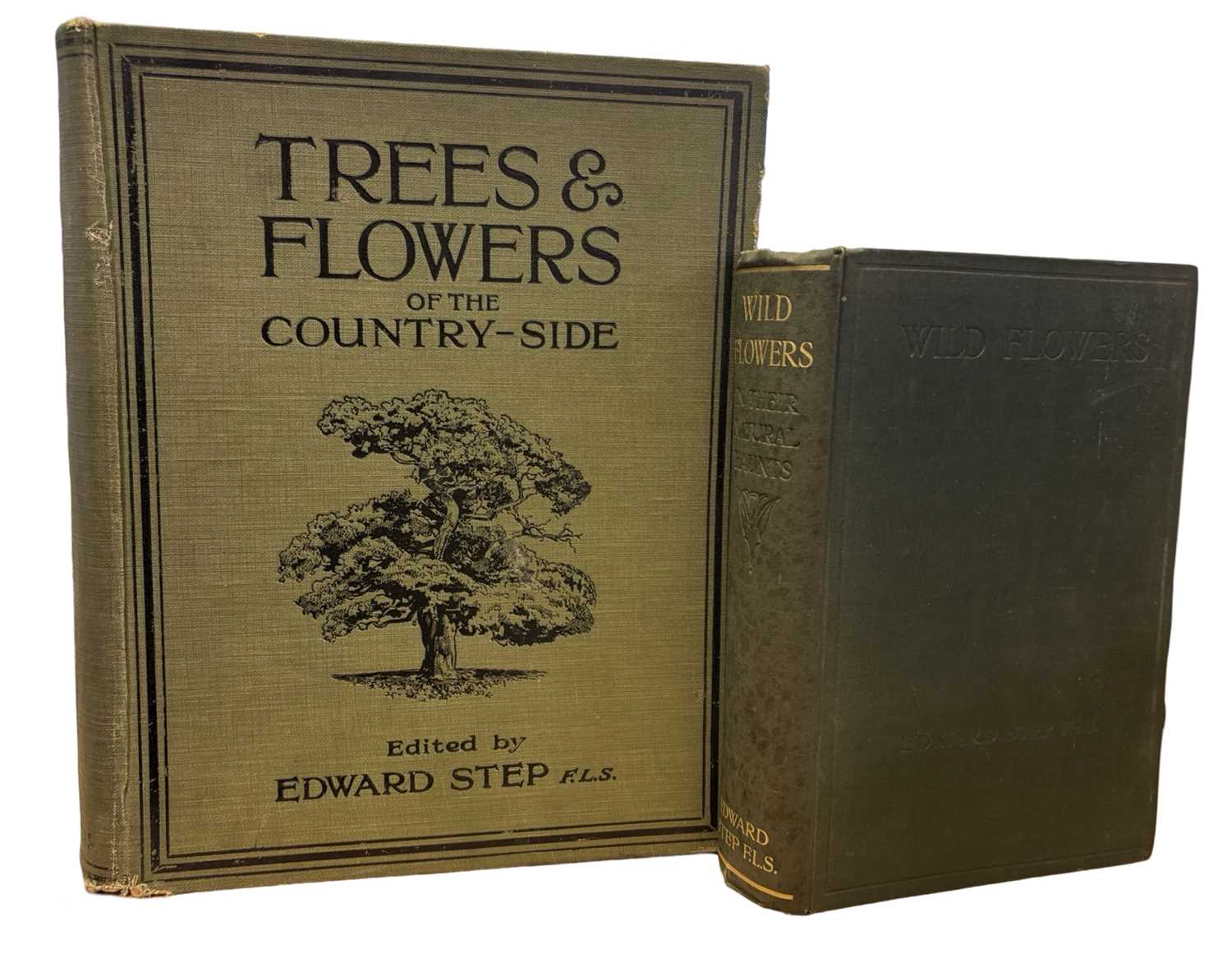 Lot 91 - EDWARD STEP: 2 Titles: WILD FLOWERS IN THEIR...
