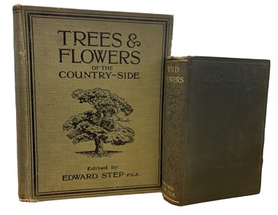 Lot 91 - EDWARD STEP: 2 Titles: WILD FLOWERS IN THEIR...