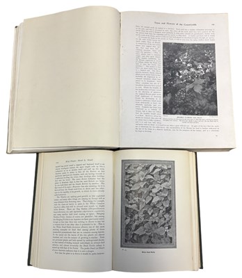 Lot 91 - EDWARD STEP: 2 Titles: WILD FLOWERS IN THEIR...