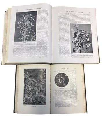 Lot 91 - EDWARD STEP: 2 Titles: WILD FLOWERS IN THEIR...