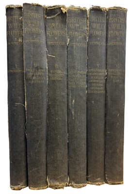 Lot 92 - A R HORWOOD: BRITISH WILD FLOWERS IN THEIR...
