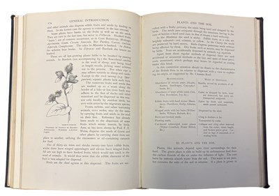 Lot 92 - A R HORWOOD: BRITISH WILD FLOWERS IN THEIR...